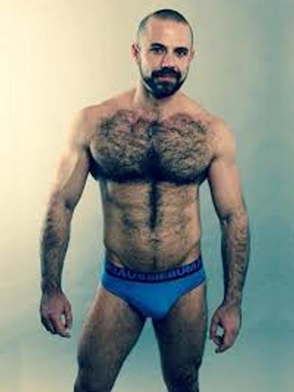 rencontre bear gay ours